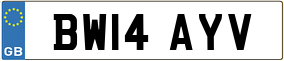 Truck License Plate